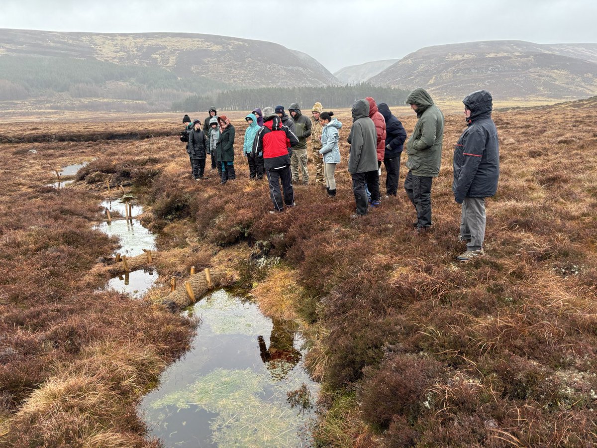 Peatland restoration ⁦@Balmoral_Castle⁩ by using media to make dams and then saturate the histosols and gradually set about some recovery ⁦@Garethnorton79⁩ ⁦@UoABioSci⁩ innovations and nature based solutions