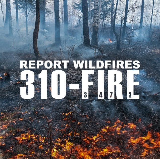 If you see smoke or flame in a forested area, report it by calling 310-FIRE (3473). You can also report a wildfire through the AB Wildfire Status app, which provides location coordinates. Here's what you’ll need to tell us so we can respond quickly: alberta.ca/report-a-wildf…