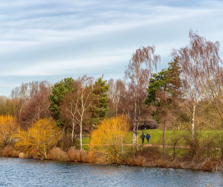 Exciting seasonal changes are happening across @willenlake landscape 🍃 With stunning lakeside views, it's a perfect place to enjoy a weekend in nature. With entertainment on or off the water, there is plenty of choice to choose from! Plan a visit ➡️ ow.ly/3j1r50R3sjO