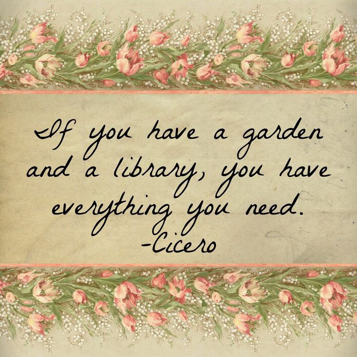 Or even a nearby park to read in! That works too. #springreading #booksandflowers #allyouneed #Spring #cicero