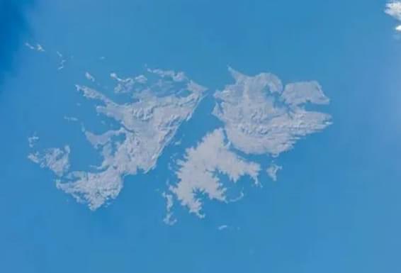 María Claudia Monjo tweet media