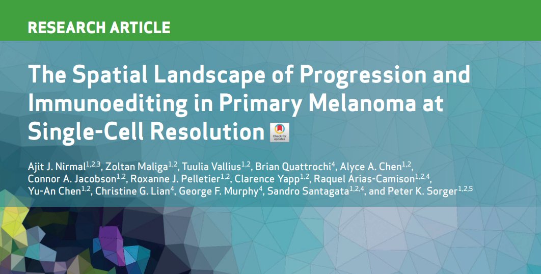 ICYMI in @CD_AACR - work by #AACR24 plenary speaker @sorger_peter: The Spatial Landscape of Progression and #Immunoediting in Primary #Melanoma at #Singlecell Resolution doi.org/10.1158/2159-8… @ajitjohnson_n @harvardmed @NCIHTAN