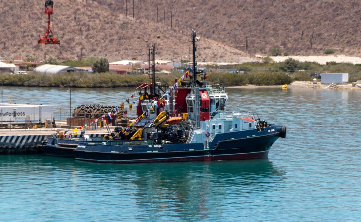 #MediosAliados ¿Qué está detrás del comercio clandestino de especies marinas en Baja California Sur? Rocío Casas nos lleva tras bambalinas para explorar las implicaciones de esta actividad ilegal. ✏️ Rocío Casas / @Repemar_mx @CausaNatura zonadocs.mx/2024/04/01/com…