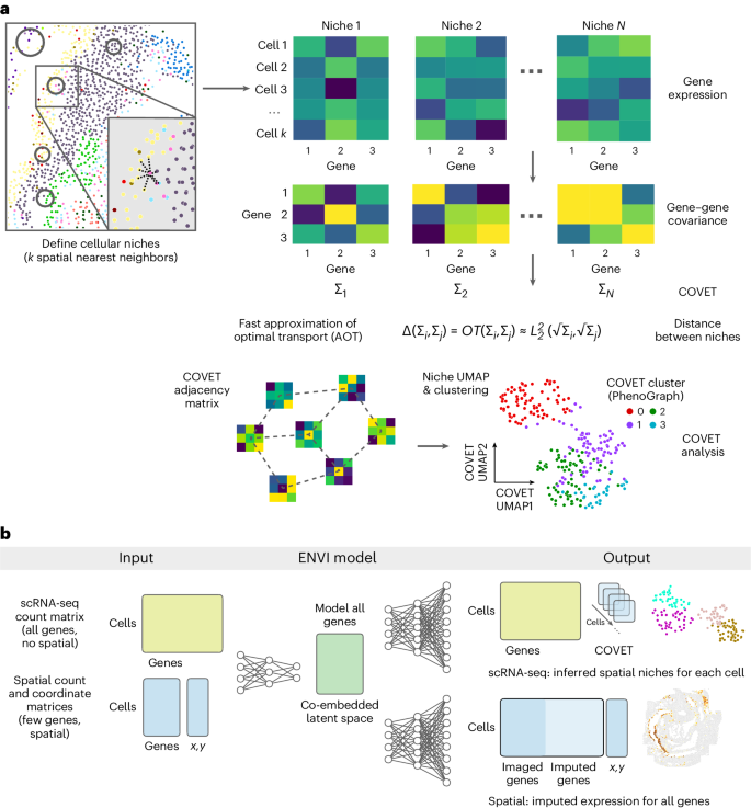 The covariance environment defines cellular niches for spatial inference go.nature.com/4auQI72