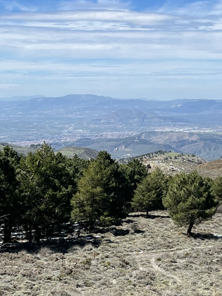 eldriverGRX's tweet photo. Buenas tardes  a la buena gente, atmósfera limpia en Granada 😍 https://t.co/Ee5uksj7yH