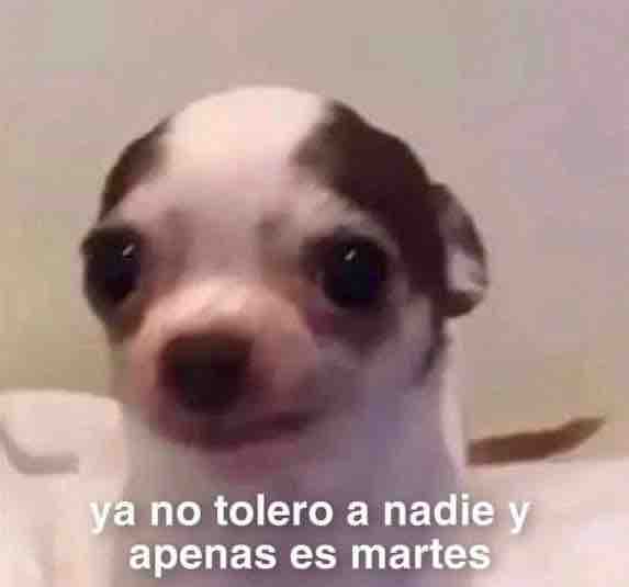 Guarromantico_'s tweet photo. https://t.co/NPu2PjAPjV