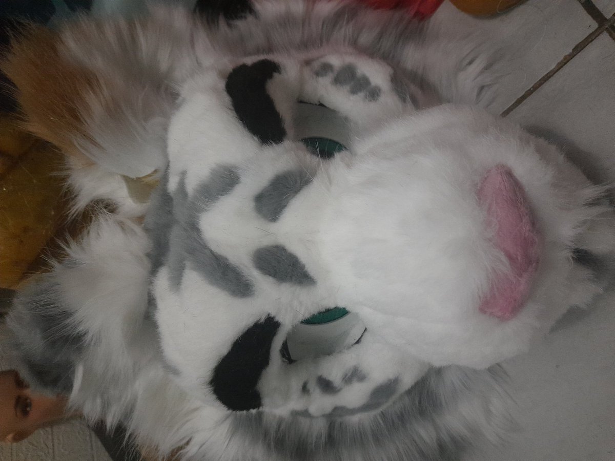 Vulpes_Paw Fursuit tweet media