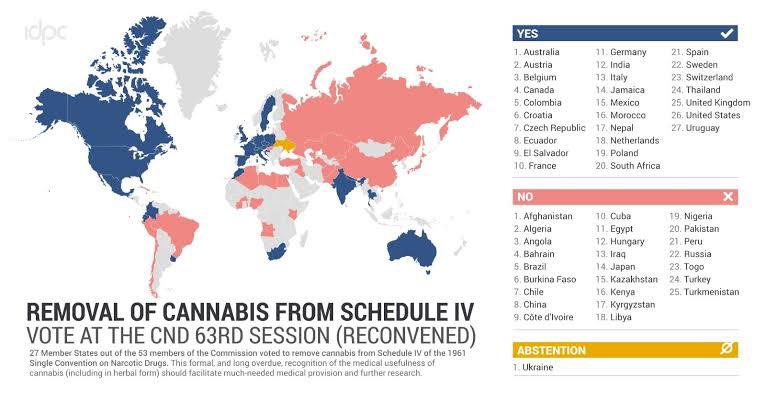 BalanceOf_Power's tweet photo. Dear Reader,

Why Cannabis Must Be 'Descheduled'? https://t.co/XOHC4NsJzw