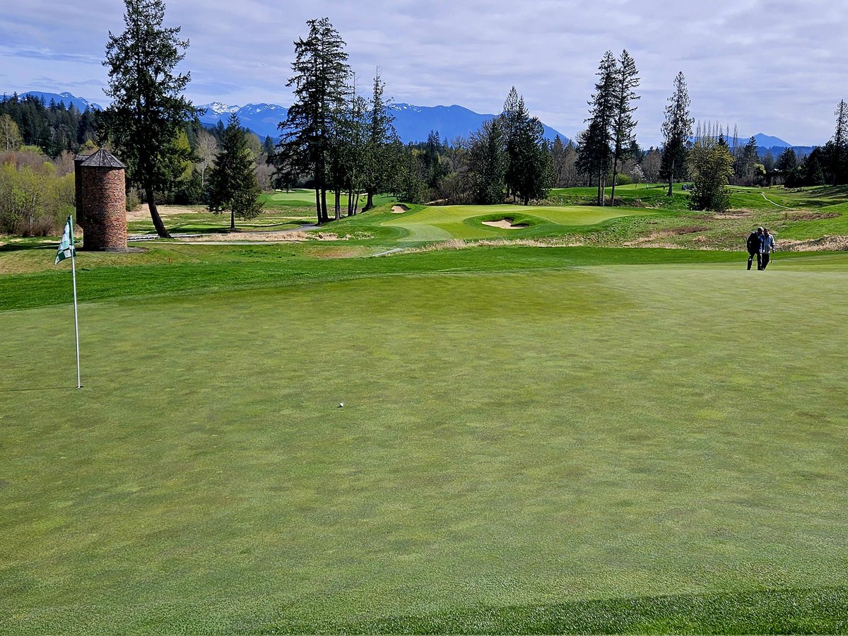 David Phipps tweet media