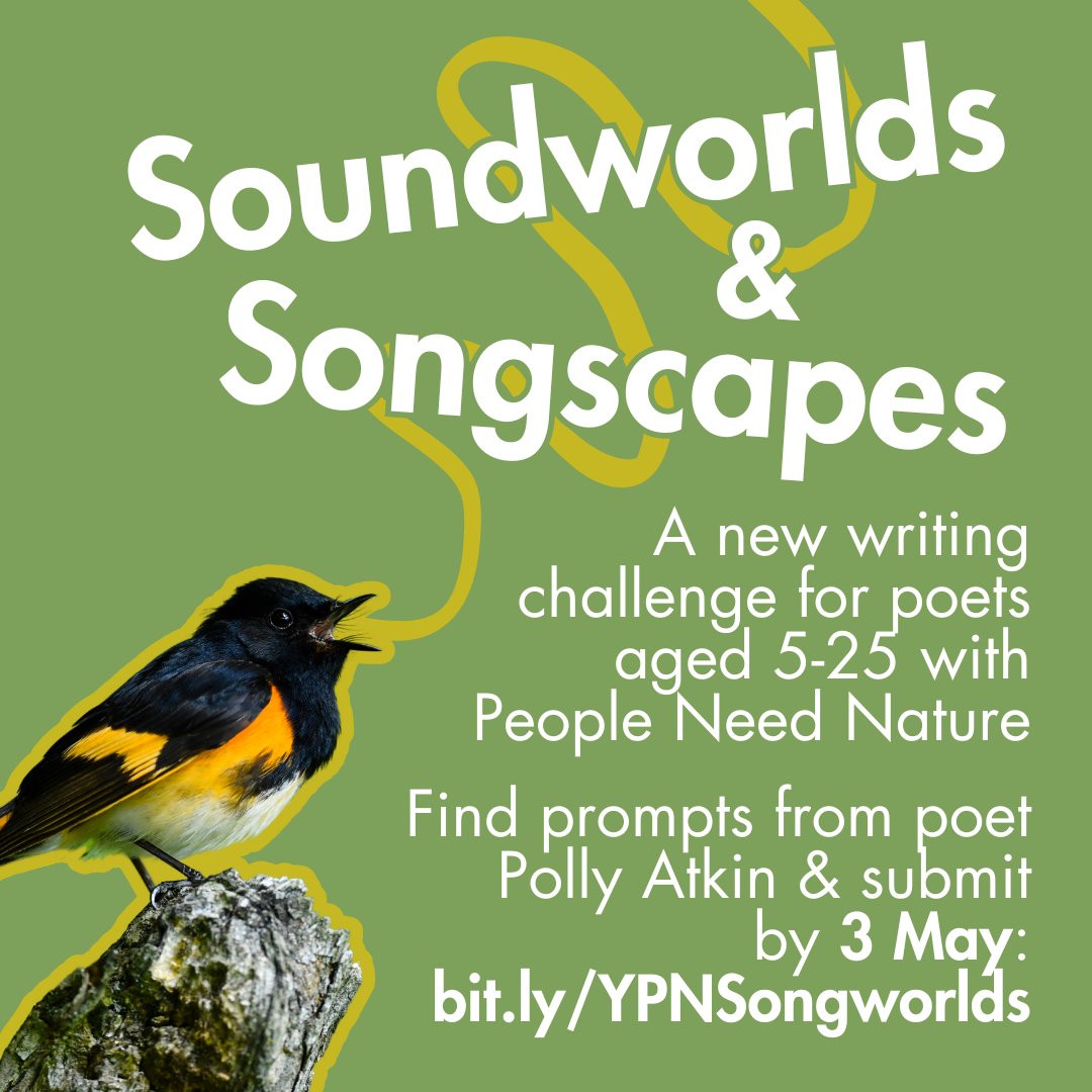 New writing challenge alert 🐦 We're teaming up with @PeoplNeedNature and poet @pollyrowena to challenge you to write about how sound shapes our relationship with nature. Think dawn choruses, rustling leaves, and more... Enter by 3 May: bit.ly/YPNSongworlds