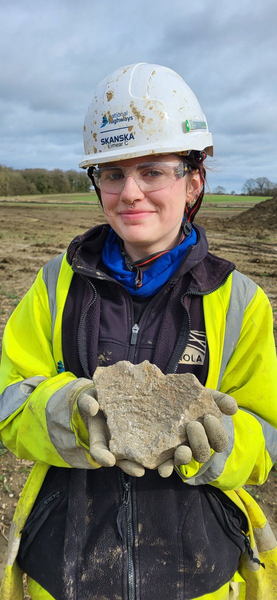 Em found this lovely piece of rotary quern stone in a huge Iron Age and Roman watering hole on National Highways @A428Cat Rotary querns were used to grind grain into flour. They were made up of two large circular stones & powered by hand 💪 #A428BlackCat