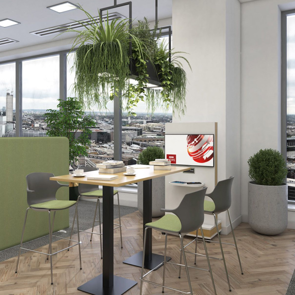 Noise can often be an issue in offices, particularly in open-plan ones. A well-placed plant can help to reduce noise pollution in an area with its leaves, branches, and stems. These natural forms absorb, deflect, and reflect sound. #RHBE_Ltd