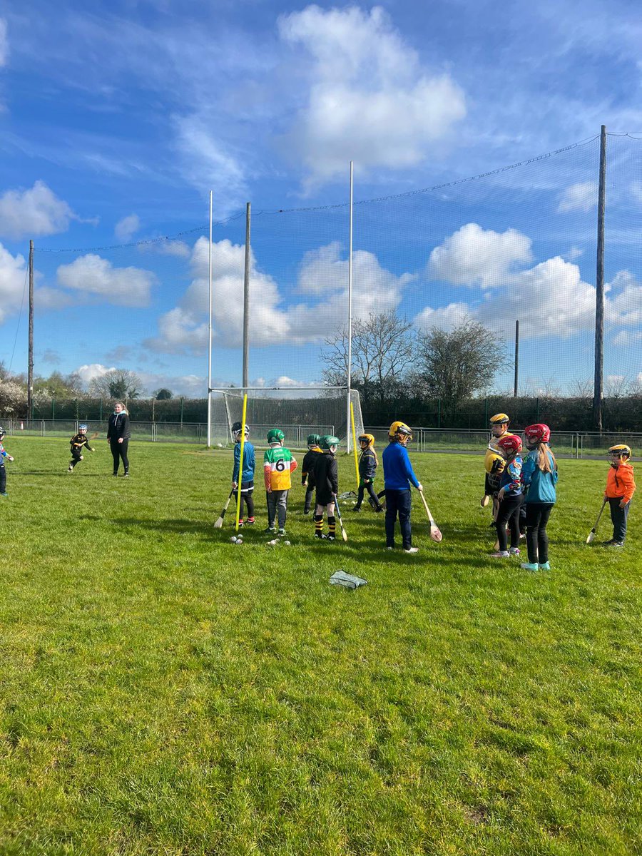 Wild Geese GAA tweet media