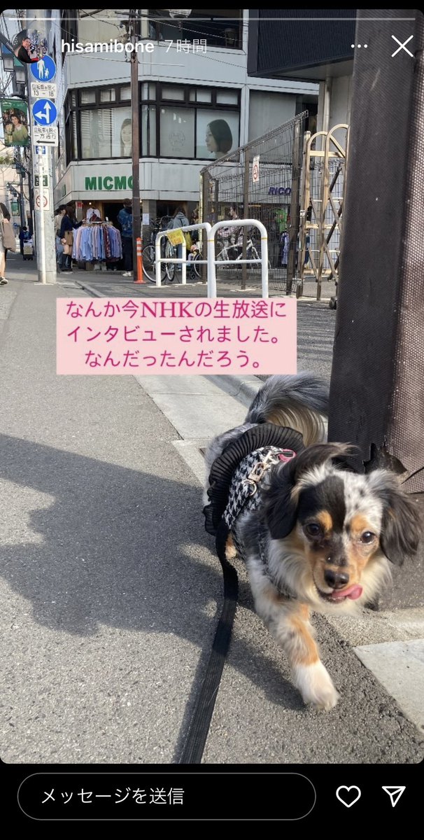 奥さん、我が家の愛犬アリスと散歩中にNHKの生中継インタビューに出演したとの事で、見逃し配信でニュースーンをチェック。ラスト、アリスは見事なヘソ天を決めておりました。
