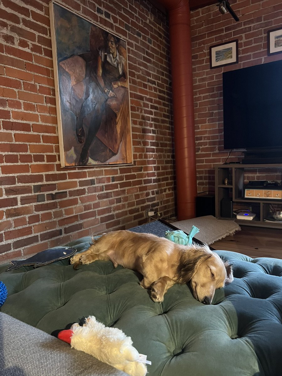 Wakes me up at 430AM, goes back to sleep at 630AM. 🤷‍♂️