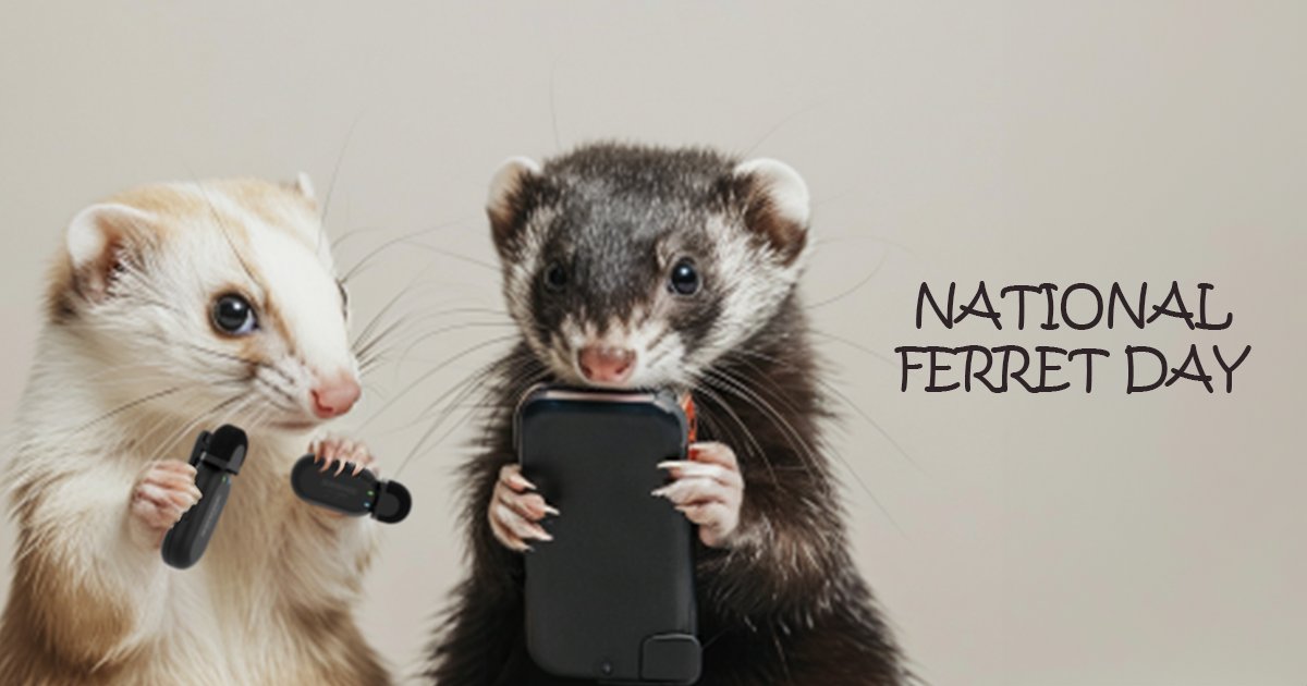 It's #NationalFerretDay today!  Ferrets natural ability to squeeze themselves into just about anywhere make them perfect for getting those hard to get interviews. They love the freedom the new @shure MovMic offers with two mics pairing direct to phone.
#Shure #MoveMic #ferret