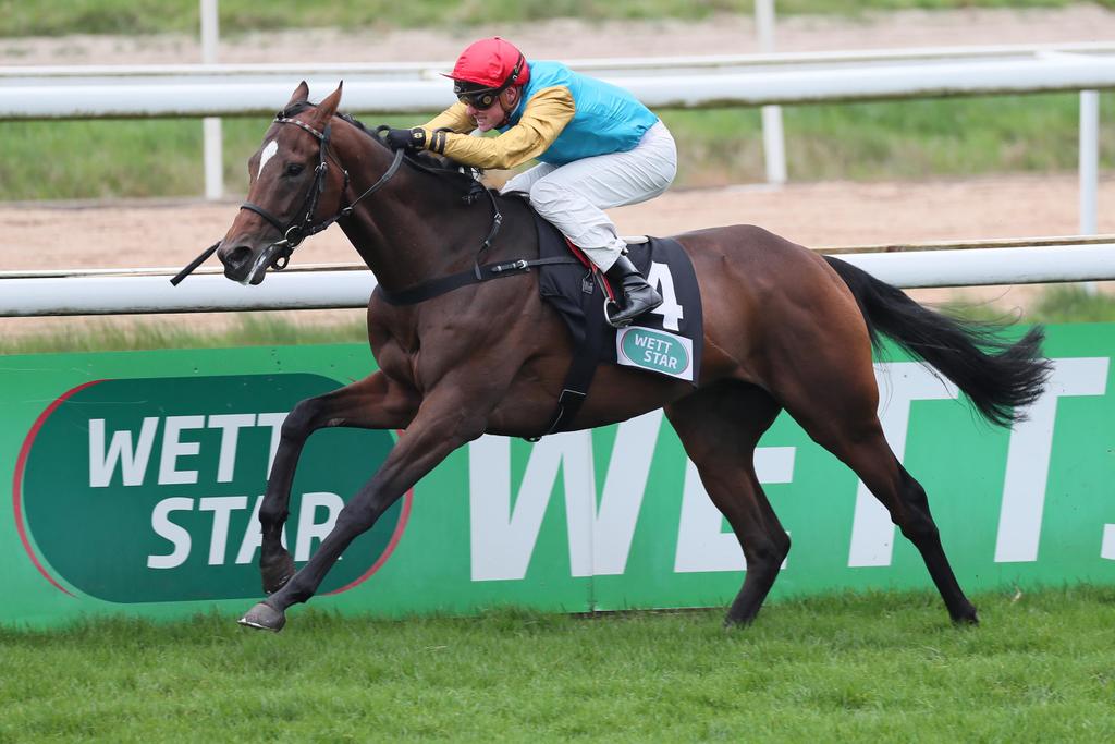 Anspruch wins on his and Maxim Pecheur's debut in Cologne. Yesterday's season opener in Cologne saw the first starter from Maxim Pecheur's stable. We congratulate the team on this successful debut as a trainer.