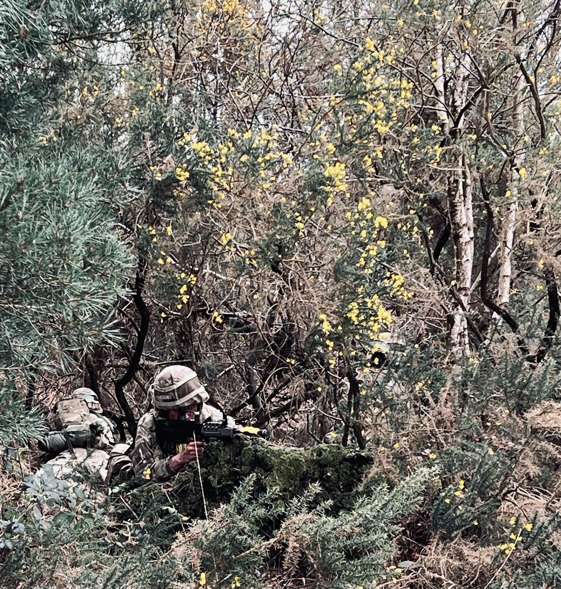RSM Frimley Park (@rsm_frimleypark) on Twitter photo Some great skills and leadership being shown on Master Cadet, whilst carrying out section attacks 🫡💂<a href="/ArmyCadetsUK/">Army Cadets UK</a>. <a href="/CTCFrimleyPark/">CTC Frimley Park</a> Some great skills and leadership being shown on Master Cadet, whilst carrying out section attacks 🫡💂<a href="/ArmyCadetsUK/">Army Cadets UK</a>. <a href="/CTCFrimleyPark/">CTC Frimley Park</a>