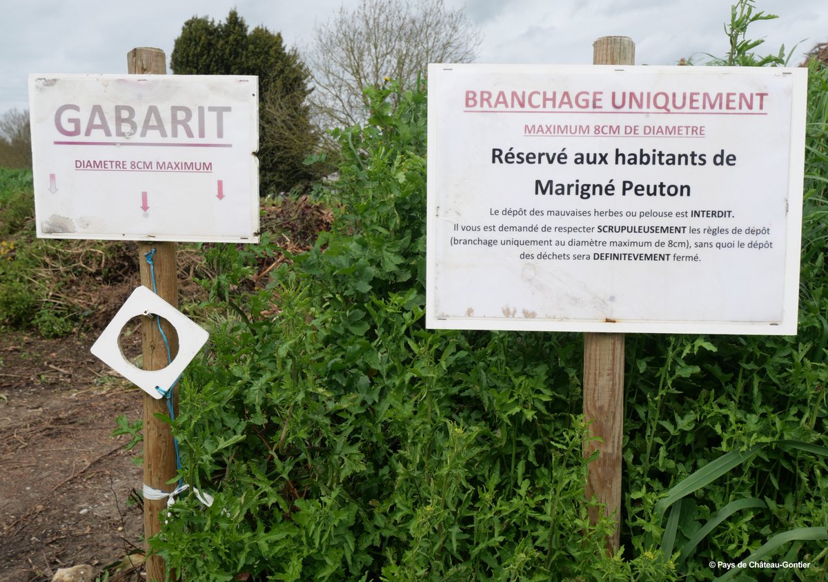 Pour éviter aux habitants de Marigné-Peuton d'emmener leurs branchages en déchèterie le Pays de #ChâteauGontier a procédé au broyage in situ. C'est plus écologique et économique♻️ 👉Les Marignéens peuvent récupérer ce broyat pour du #compost ou du #paillage : RDV le 25 mai 9h-13h