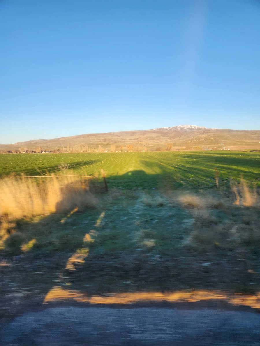 E❌tinction Game ☄️ tweet media