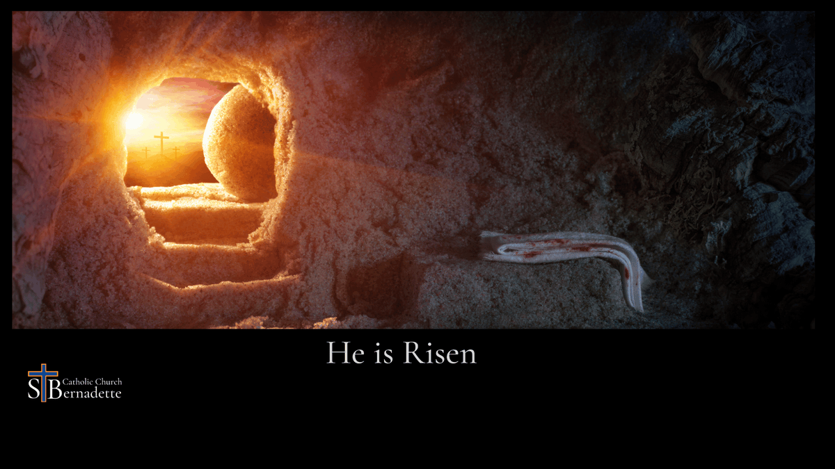 St. Bernadette Catholic Church (@stbernadetteca1) on Twitter photo 