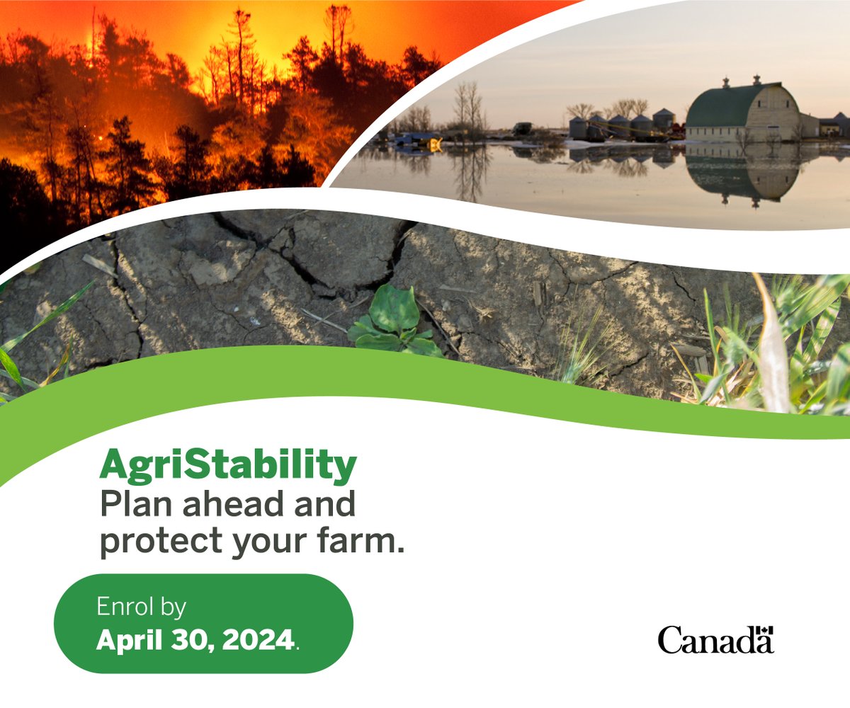 Already have AgriInsurance? Your benefits don’t have to end there. You’re still eligible to enrol in AgriStability, a whole-farm program that covers all the commodities you produce: ow.ly/arYo50R6xxc