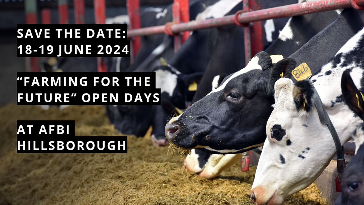 SAVE THE DATE: On 18-19 June @AFBI_Hills will be holding 'Farming for the Future' Open Days aimed at the #farming community with the latest research to further enhance sustainability of dairy, beef and sheep systems showcased. Registration opens soon! bit.ly/3xs9H3v