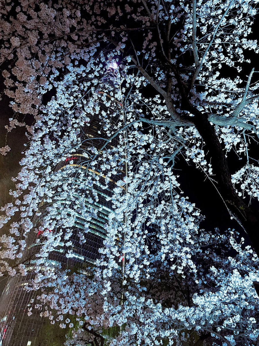 ✱ 𐄙˖𓂂𖫰݂⌖݁ﾟ˖ tweet media