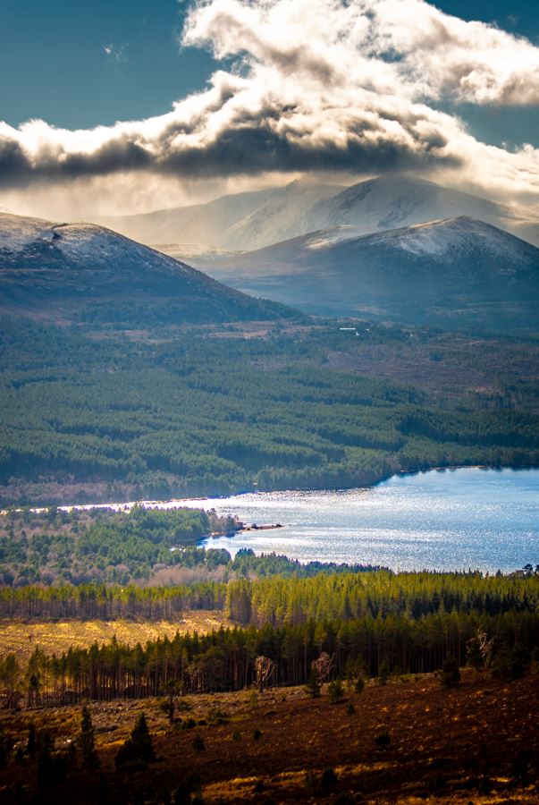 We asked our Instagram followers to help us choose our new banner image and they did not disappoint! Thank you to everyone that got involved, and please say hello to our new Cairngorms spring snap by sam.climbs.mountains 📸