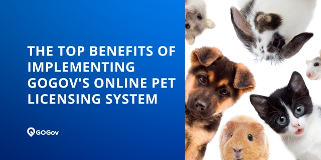 🐱🐶 Ready to modernize your pet licensing process? GOGov's online platform offers customizable features and seamless integration to meet the unique needs of your local government. Learn more in our blog post! bit.ly/4127Wor #PetLicensing #GovTech #LocalGov