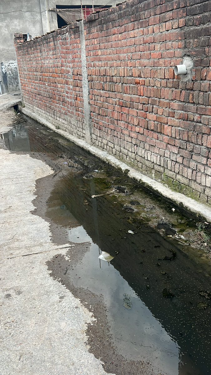 Yash Dedha tweet media