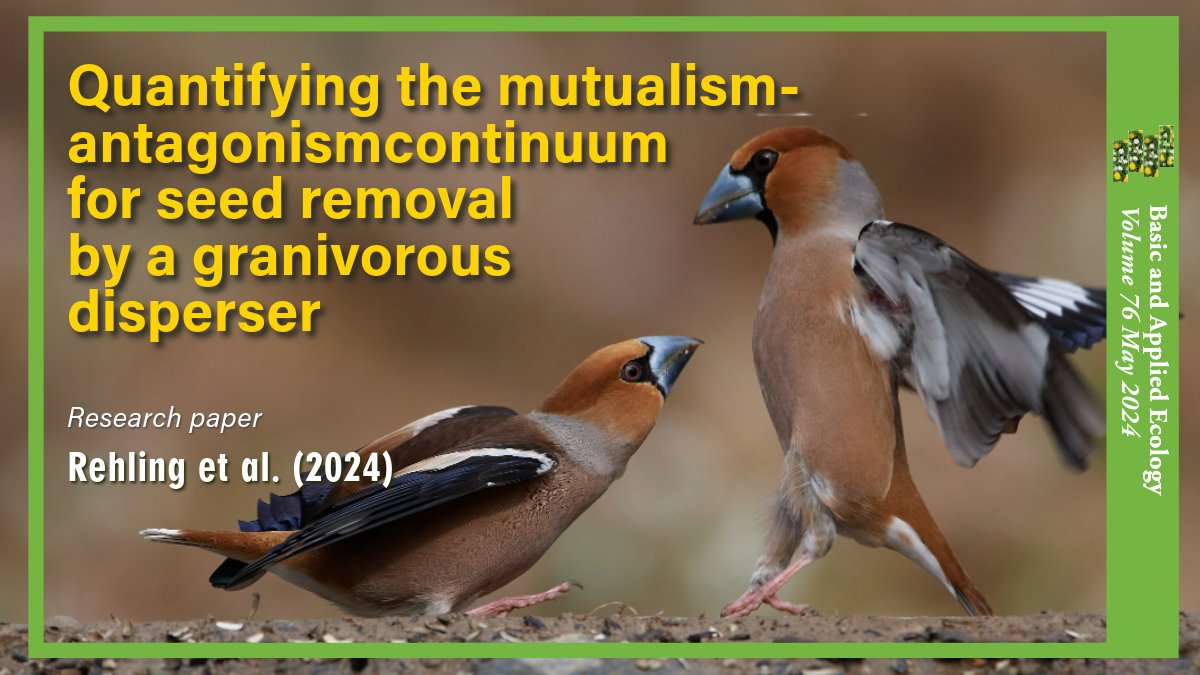 #Friends or #Foes?
@FinnRehling (@ConsEcol), @NinaFarwig, et al. looked at #Tree-#Hawfinch #Interactions! There is a delicate #Balance between #Seed #Dispersal and #Predation. As hawfinches predated 80% of seeds, they exploit this #Mutualism! @gfoeSoc 
sciencedirect.com/science/articl…