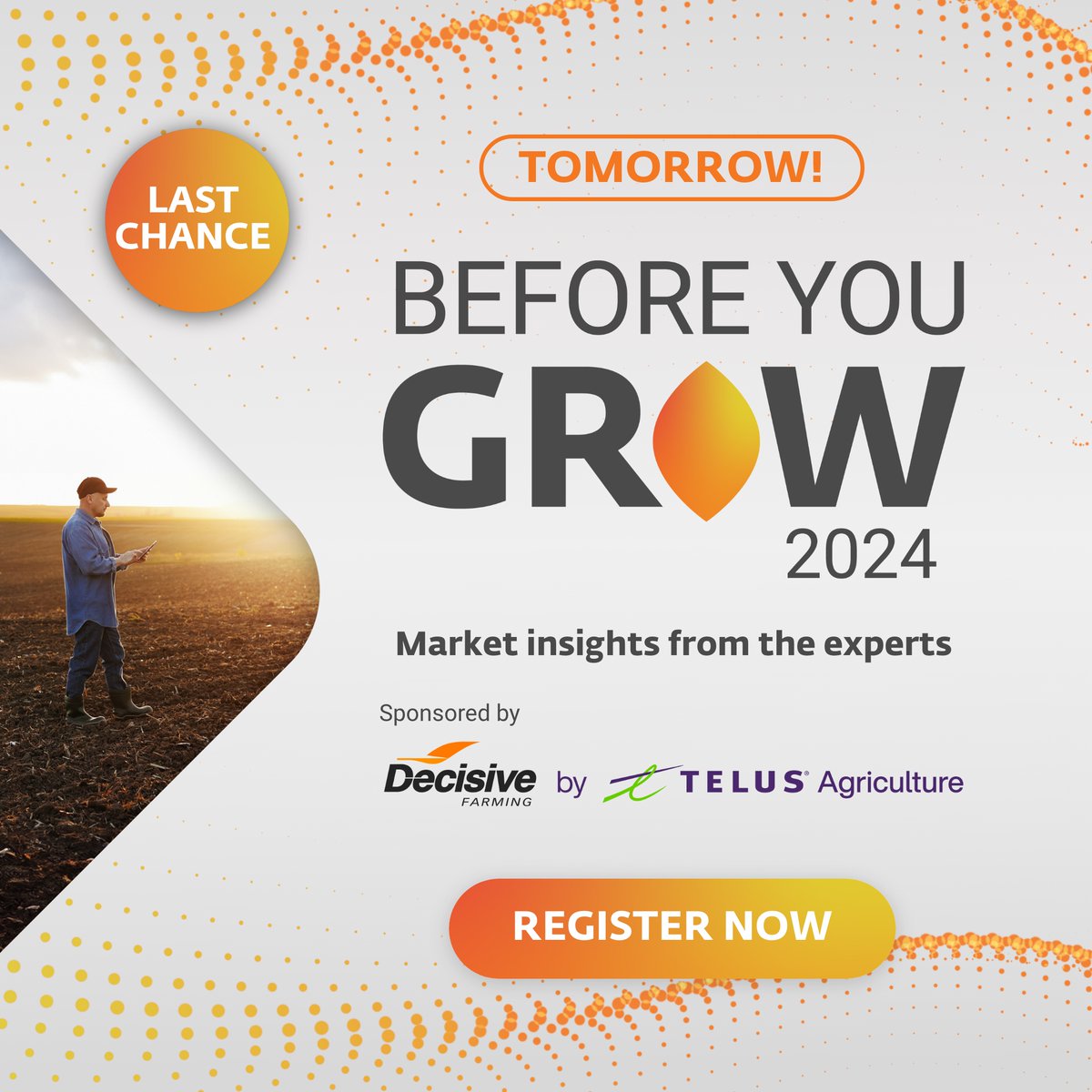 GrainFox tweet media