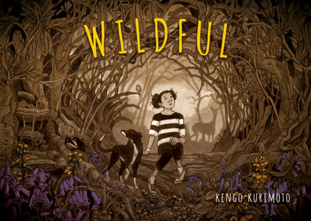 #Fiction #HBReviewoftheWeek WILDFUL by Kengo Kurimoto (@GroundwoodBooks): 'Kurimoto’s detailed illustrations capture the essence of a walk through the woods' hbook.com/story/review-o…