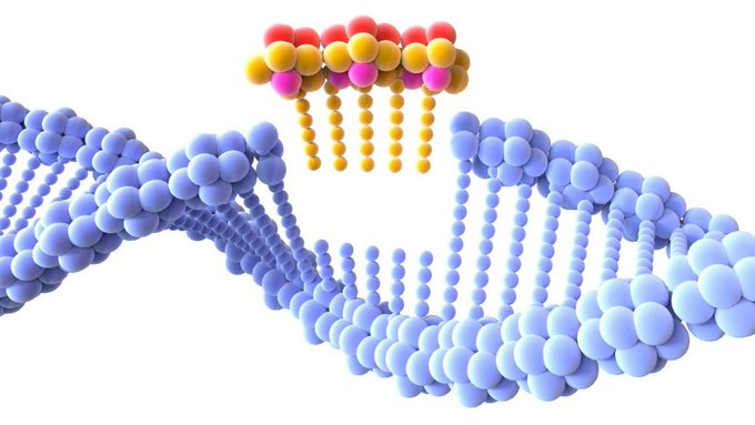 Covid mRNA vaccinerade personer kan testas för att se om främmande plasmid-DNA:t integrerades i deras genom (cancerrisk). Medan de flesta biverkningar av vaccin är svåra att bevisa, lämnar denna integration ett avtryck som kan upptäckas senare. 

vaken.se/en-dos-av-pfiz…