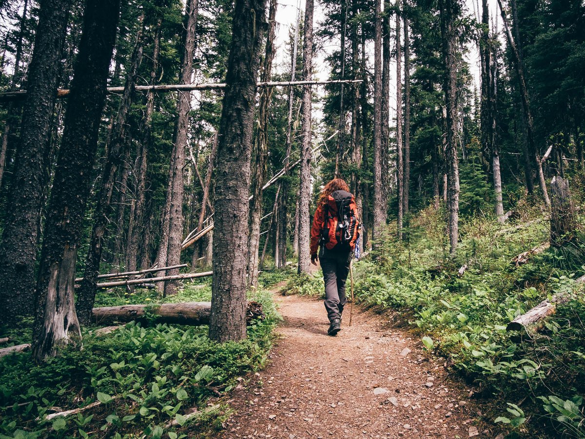 Great Canadian Trails (@greatcantrails) on Twitter photo Did you miss The Walrus Talks Nature last week? It was so inspiring, and you can watch it now! youtube.com/watch?v=Rqelwb… <a href="/thewalrus/">The Walrus</a> @tctrail Did you miss The Walrus Talks Nature last week? It was so inspiring, and you can watch it now! youtube.com/watch?v=Rqelwb… <a href="/thewalrus/">The Walrus</a> @tctrail