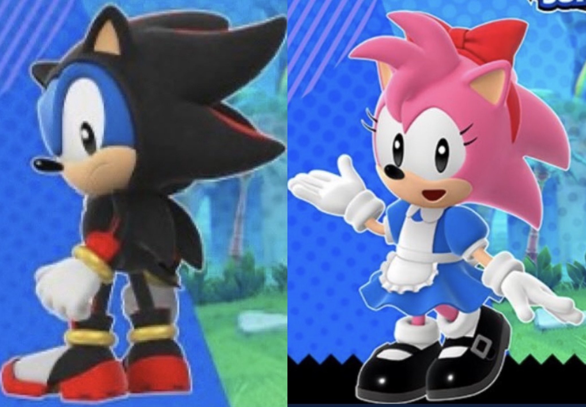 Shadow And Amy Rose