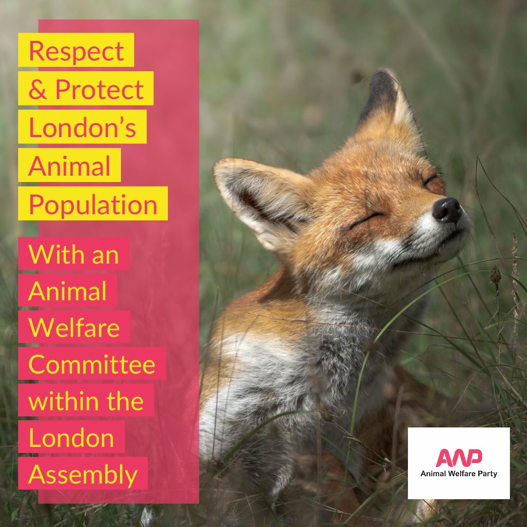 AnimalsCount's tweet image. 🏢🐕 There are an estimated 9.6 million people in London. But did you know the capital is ‘home’ to even more animals than that? 

❌ Given that, why aren’t our political structures set up to better represent #London’s animal population and their needs? 🧵