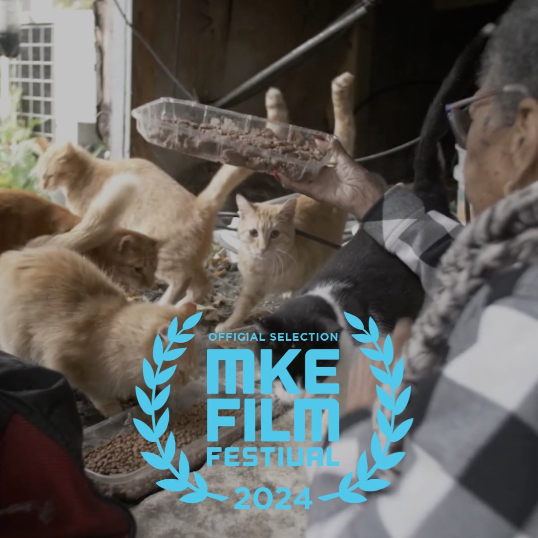 TRUTH & DOCUMENTARY (@truthanddoc) on Twitter photo 📽️CAT CITY is an #officialselection of the <a href="/mkefilm/">Milwaukee Film</a> Festival! - Screening on 4/18 6PM <a href="/avalontheater/">Avalon Theater</a>, 4/21 3:15 <a href="/LTDownerTheatre/">Downer Theatre</a>, 4/24 3:30PM @ #TheTimesCinema. The 16th annual #MilwaukeeFilmFestival will be held from April 11- 25. For tickets, visit mkefilm.org. 📽️CAT CITY is an #officialselection of the <a href="/mkefilm/">Milwaukee Film</a> Festival! - Screening on 4/18 6PM <a href="/avalontheater/">Avalon Theater</a>, 4/21 3:15 <a href="/LTDownerTheatre/">Downer Theatre</a>, 4/24 3:30PM @ #TheTimesCinema. The 16th annual #MilwaukeeFilmFestival will be held from April 11- 25. For tickets, visit mkefilm.org.