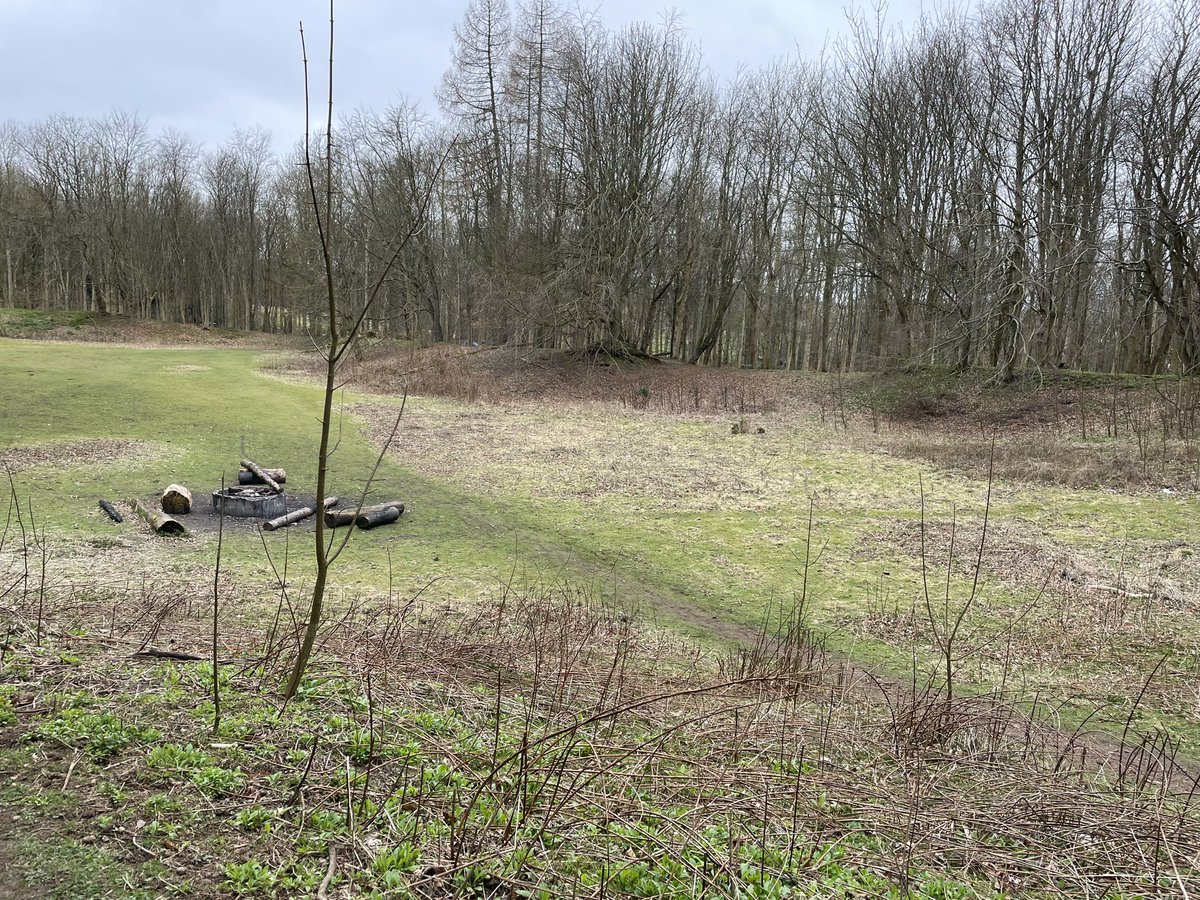 I’d filled 3 dog bags by the end of our walk in #Dunnottar Woods #Stonehaven yesterday mostly from the road. 

I had to leave the #litter in the quarry as I don’t like taking the dogs near the fire pit. Will return without dogs. #tuesdayvibe #dogsofx #springcleanscotland