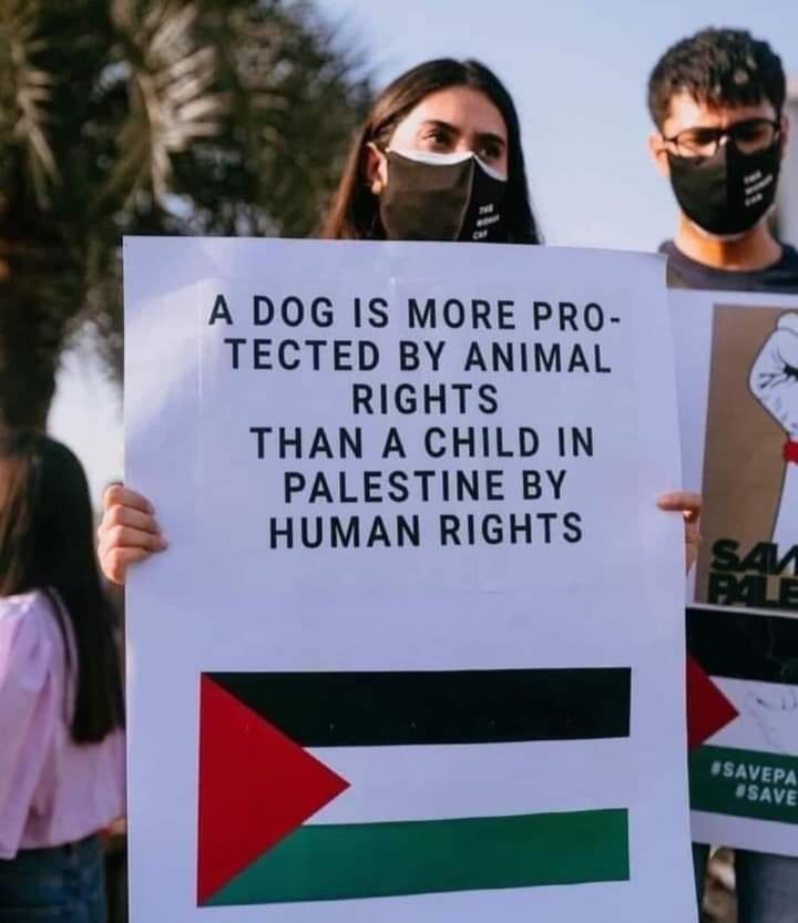 We will Never forget .💔
We will NEVER stop sharing

ᖴᖇᗴᗴ ᑭᗩᒪᗴSTIᑎᗴ !!🇵🇸