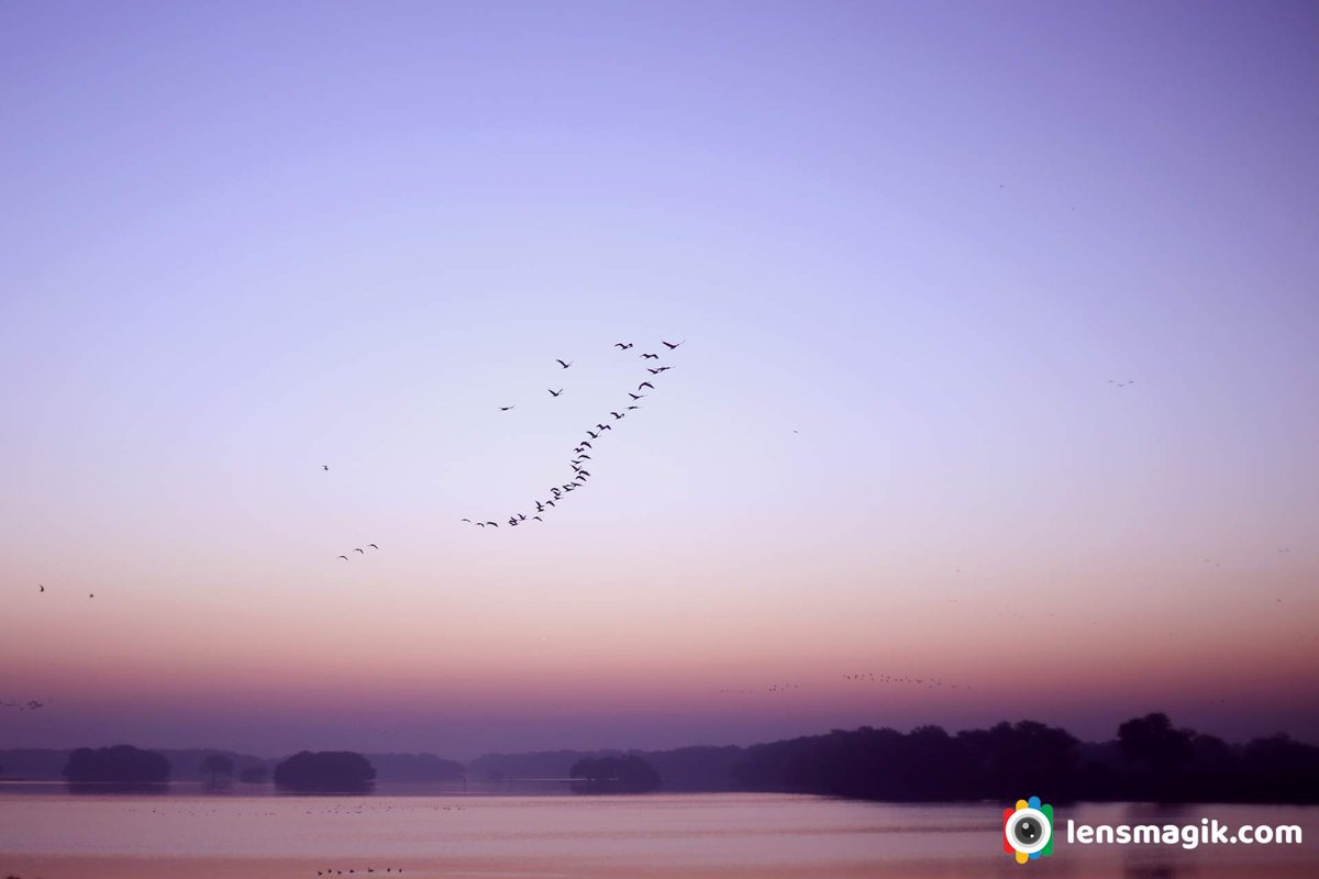 Twilight Sky bit.ly/twilightskyatT… Thol Lake #twilight #whatistwilight #twilightsky #twilightskyatthollake #thollake #tholbirdsanctuary #sky #twilightskycolor #morningsky #wintermorningsky #tricolorsky #landscape #landscapephotography