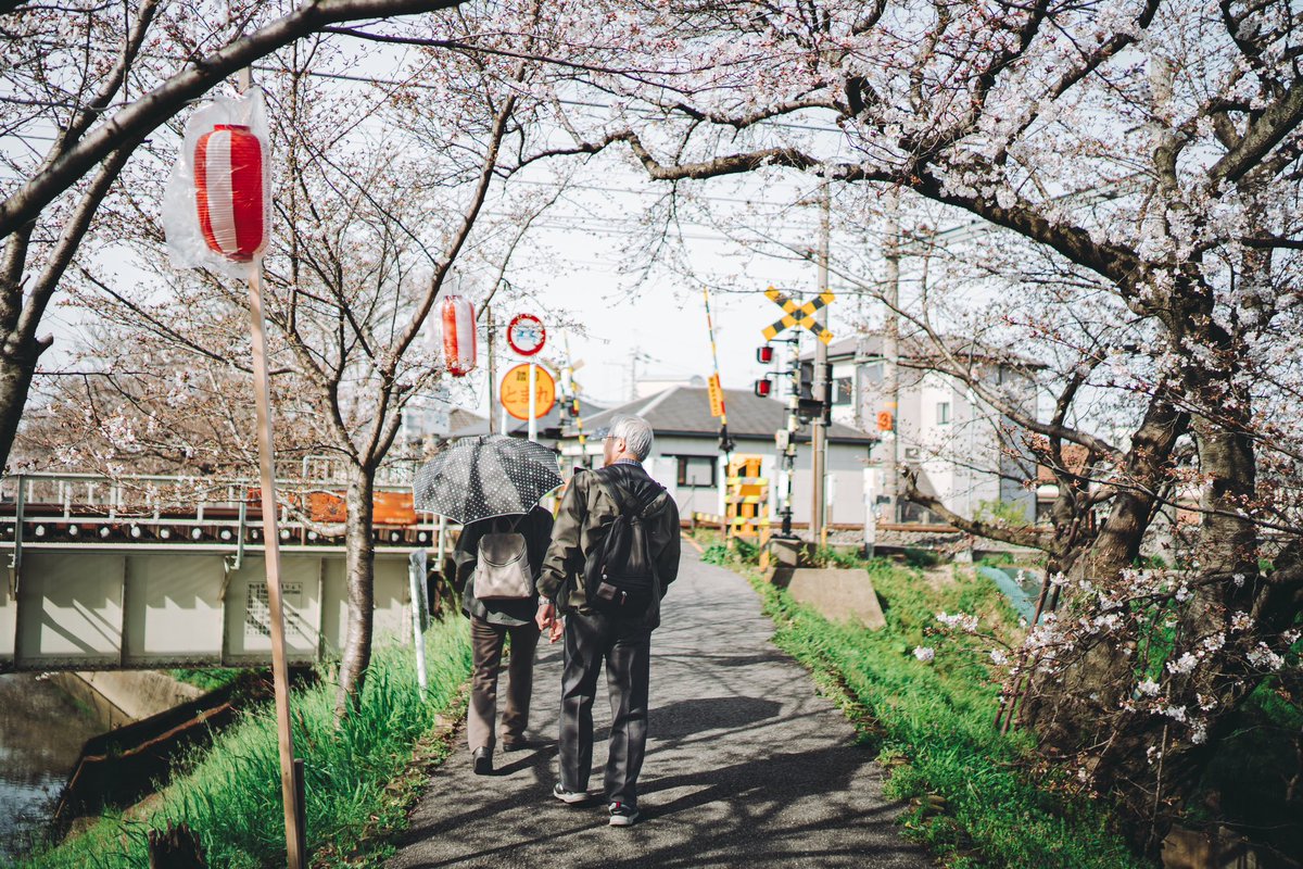 私が写した4月の奈良