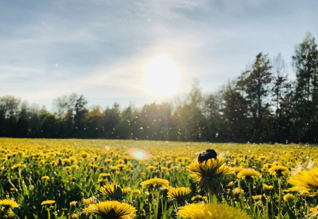 As we enter hayfever season, Prof Patrick Mitchell, Respiratory Consultant at Tallaght University Hospital had some excellent advice for sufferers, when he spoke to Claire Byrne on RTE Radio 1 earlier today. Take a listen .... bit.ly/3xkM2lE