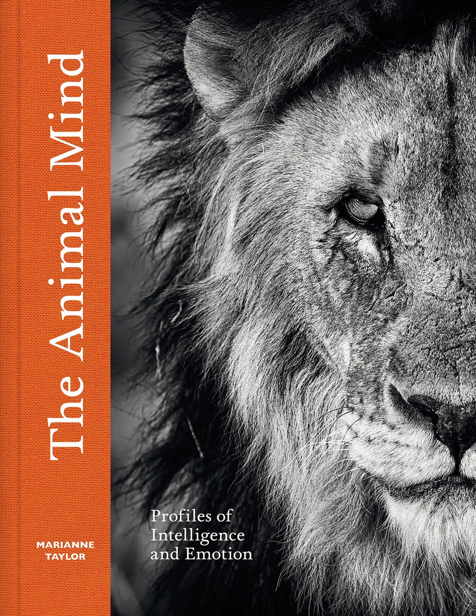 From nature author Marianne Taylor comes THE ANIMAL MIND, a fascinating exploration of animal intelligence and emotion that is full of thought-provoking essays, surprising insights, and breathtaking images. Out now! bit.ly/4ahziL4