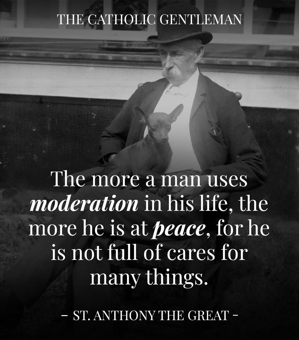 Moderation brings peace. #catholic #catholicchurch #catholicmen #peace #moderation