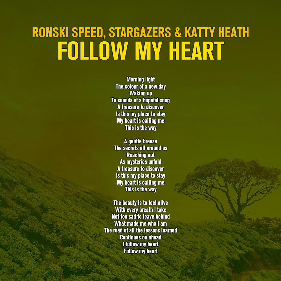 Sing along with @kattyheath! 💚 #VocalTranceLyrics 🎤 Her uplifting collaboration with @ronskispeed & @StargazersAudio, 'Follow My Heart' is OUT NOW: raznitzan.lnk.to/FollowMyHeart @RazNitzan
