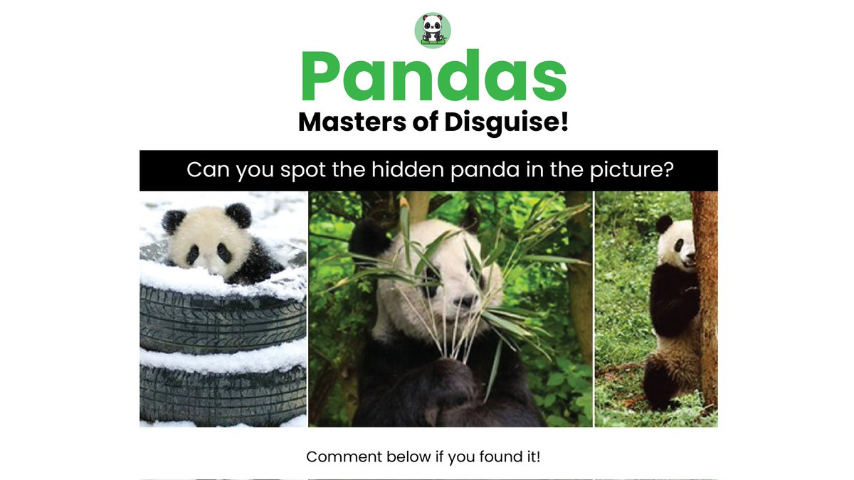 aka_baoland's tweet image. Pandas: Masters of Disguise! 🐼 

Can you spotthe hidden panda in the picture? 

Comment below if you found it!

 #PandaMagic #HiddenPanda