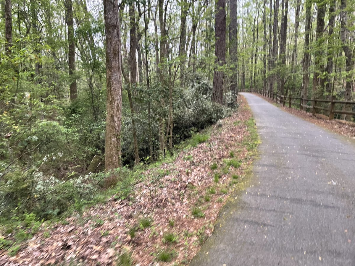 iguerin's tweet photo. Moved slower than the turtle I saw yesterday. But whatever. 

#RunGeorgia https://t.co/0HkcxxY6PI