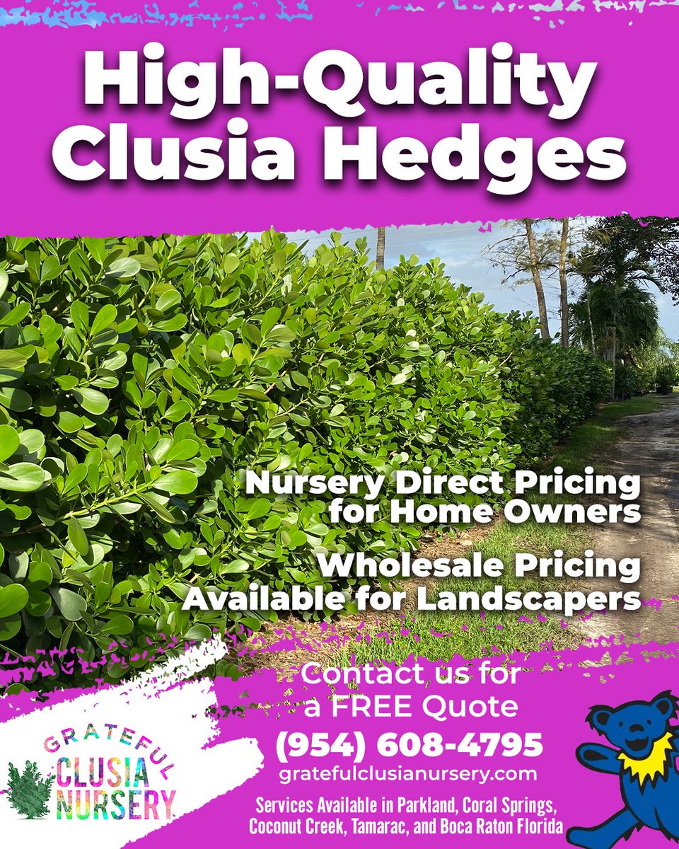 Transform your outdoor space with high-quality clusia hedges from Grateful Clusia Nursery! With nursery direct pricing for homeowners and wholesale pricing for landscapers, you can't go wrong! Contact us for a free quote! 

#ClusiaHedges #calusiahedges #highquality #parkland